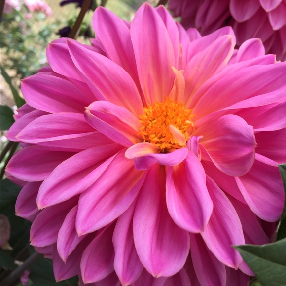 Meet your Posher, Katie - Picture 2 of 2